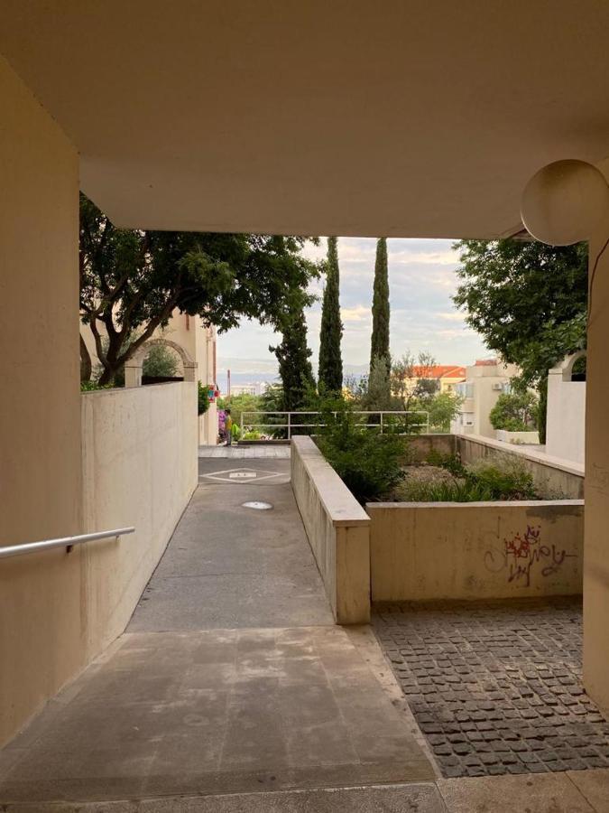 Hortensija سبليت المظهر الخارجي الصورة