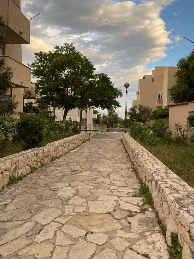 Hortensija سبليت المظهر الخارجي الصورة